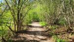 der Wanderweg führt uns zwischen den beiden Lagi di Ganna hindurch