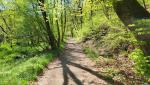 nach Brinzio biegt der E1 rechts weg. Wir wandern linkshaltend weiter auf der Via Francisca