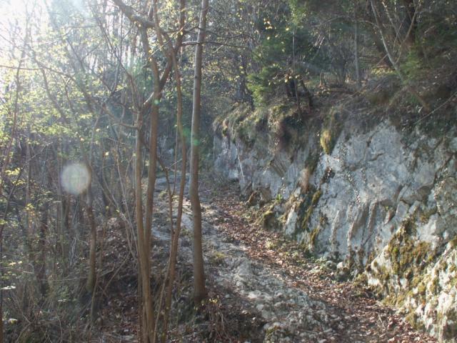 Von der Schiffsstation Isenthal aufwärts Richtung Chäppeli