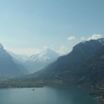 Blick vom Chäppeli auf den Urnersee. Im Hintergund der Bristen