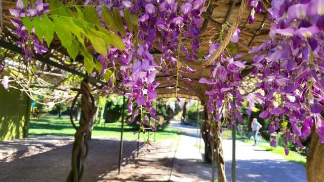 beim Parco Mirabello mit Torre Belvedere