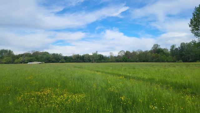 ...und neben Felder und Weiden, wandern wir Richtung Capolago