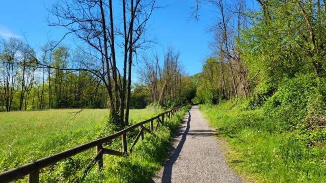 links von uns begleitet uns die Olona, und dies wird die ganze Etappe so sein