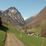 Isenthal. Im Hintergrund der Horn und der Schwalmis