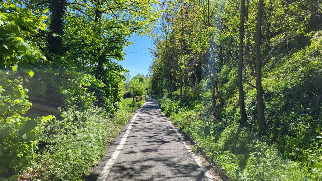 in Castellanza angekommen, nehmen wir den richtigen Zug, der uns nach Varese zurückbringt