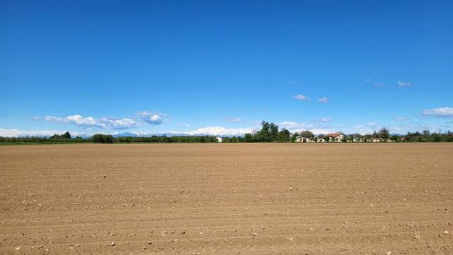 am Horizont erkennen wir die Walliser 4000er