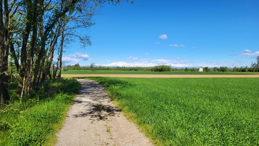 immer wieder sind wir fasziniert vom Panorama der Walliser Alpen. Sie wirken so nah, sind aber doch weit weg