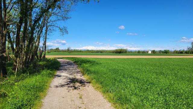 immer wieder sind wir fasziniert vom Panorama der Walliser Alpen. Sie wirken so nah, sind aber doch weit weg