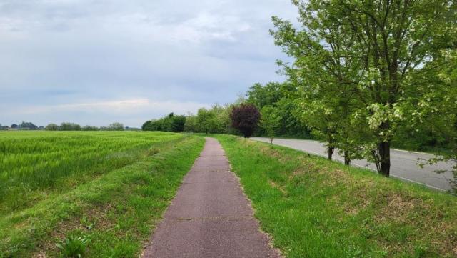 auf dem Weg nach Torre d'Isola, unser heutiges Etappenende