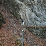 Waldweg Richtung Bauen