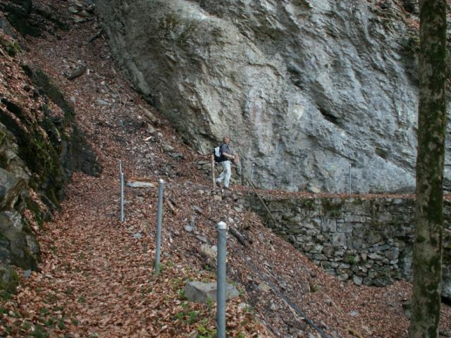 Waldweg Richtung Bauen