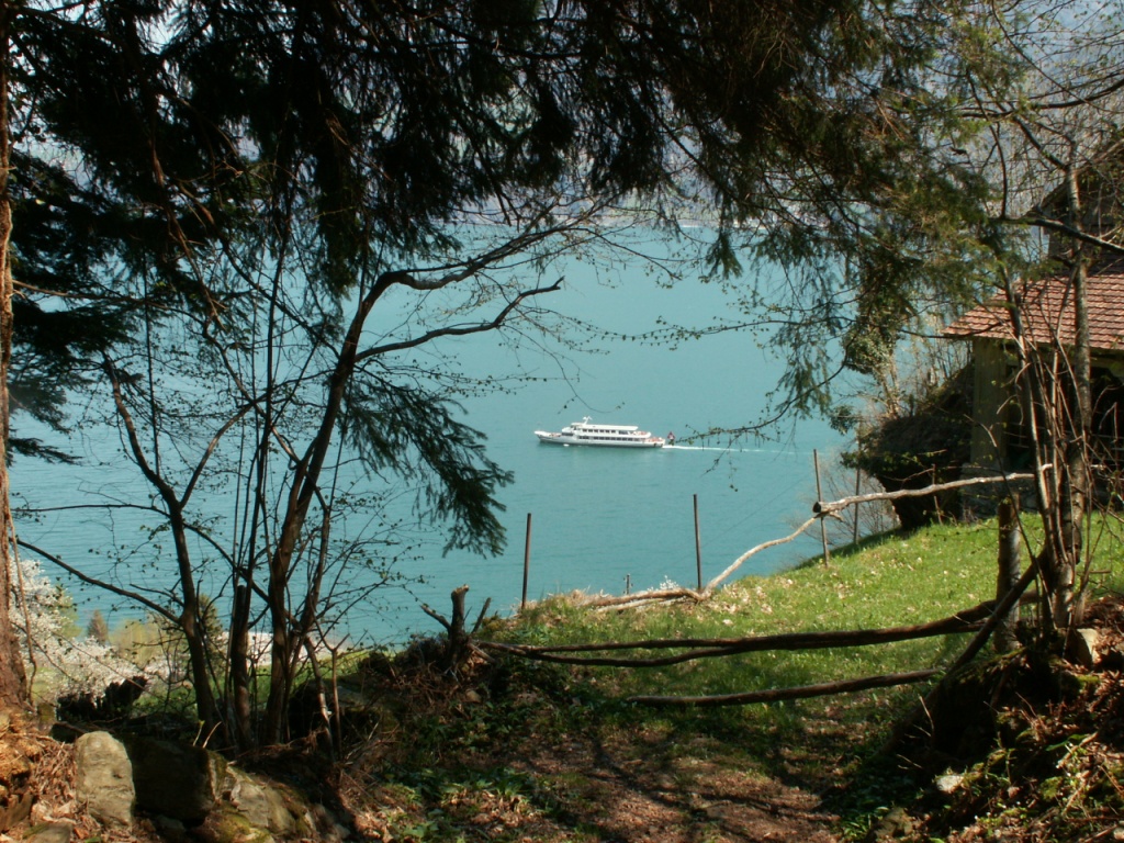 Blick auf den Urnersee