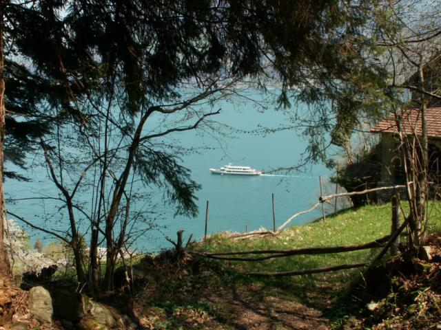 Blick auf den Urnersee