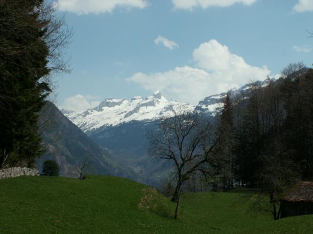 Unten grün, oben weiss