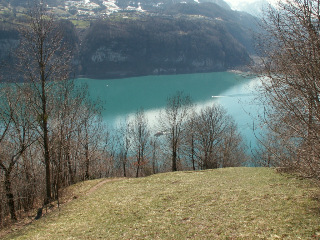 Blick auf den Walensee