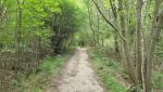 oben angekommen, führt der Weg entlang des Bergrückens durch dichten Wald, weiter Richtung Monte Mauro