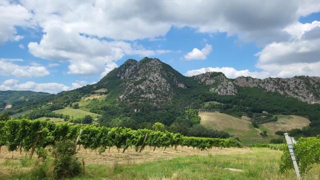 wir blicken zurück zum Monte Mauro (der höchste Gipfel der romagnolischen Kreidekette) von wo wir abgestiegen sind