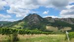 wir blicken zurück zum Monte Mauro (der höchste Gipfel der romagnolischen Kreidekette) von wo wir abgestiegen sind