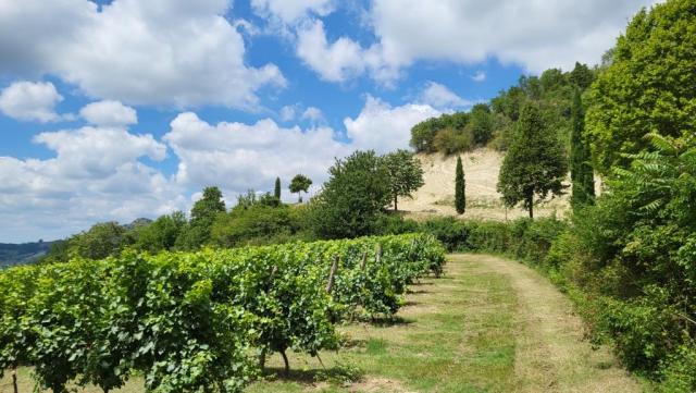 eine wunderbare Wanderung durch eine atemberaubende Landschaft