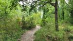 der Wanderweg senkt sich nun langsam