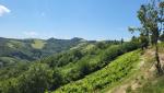 der Wanderweg führt uns nun von einem Hügel zum anderen und in Richtung Modigliana