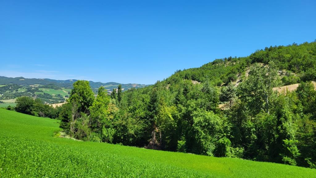 was für eine schöne grüne Landschaft