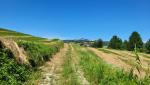 über Feldwege wandern wir danach weiter...