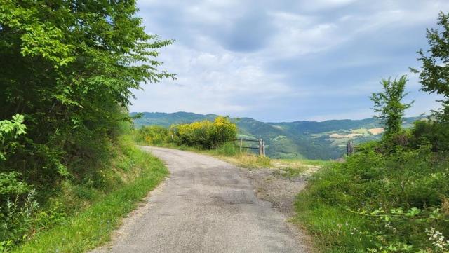 wir biegen rechts ab und wandern nun Richtung San Benedetto in Alpe