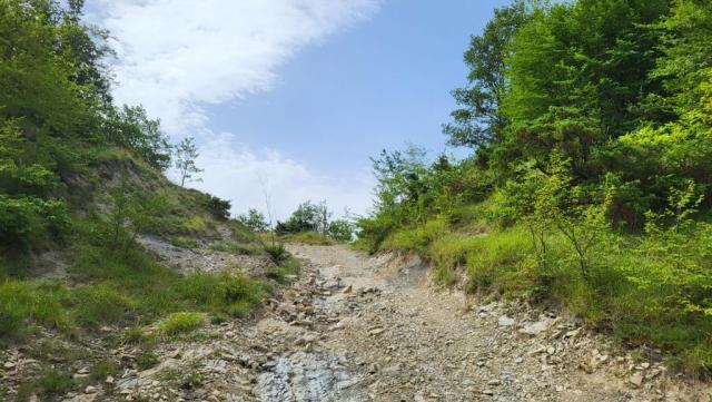 über ein schön ausgebauter Wanderweg geht es nun stetig aufwärts