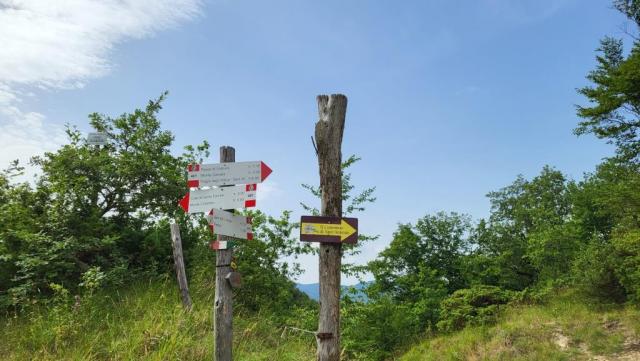 die Wegweiser zeigen uns den Weg. Wanderkarte auf dem Handy mit GPS aber von Vorteil