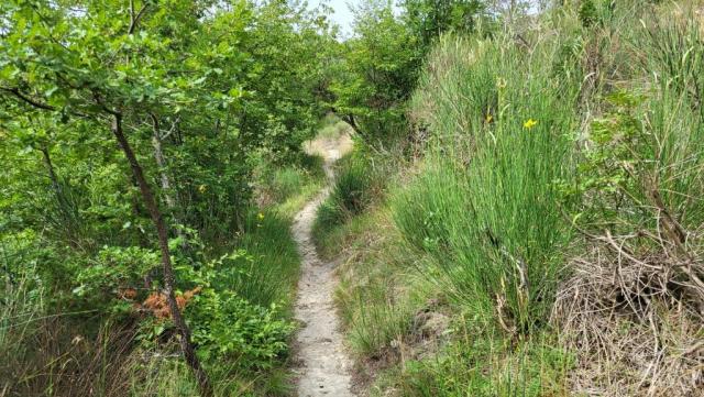 der Wanderweg ist immer gut ersichtlich