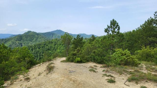 auf dem Monte Roncole