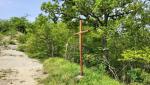 ein Holzkreuz zeigt uns den Weg