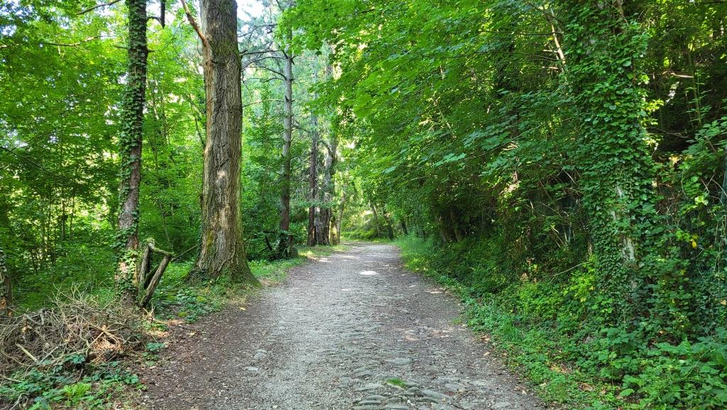 wir haben San Benedetto in Alpe hinter uns gelassen...