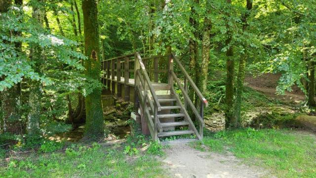 ...überqueren wir über eine Holzbrücke den Acquacheta Bach, der kurz danach als Wasserfall in die Tiefe fällt