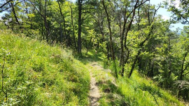 alles am Bergkamm entlang, wandern wir nun von einem Bergrücken zum nächsten