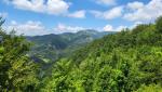 der Ligurische Apennin, Wald soweit das Auge reicht