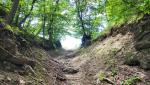 die Wanderung verläuft vollständig auf Naturpfaden inmitten der Natur