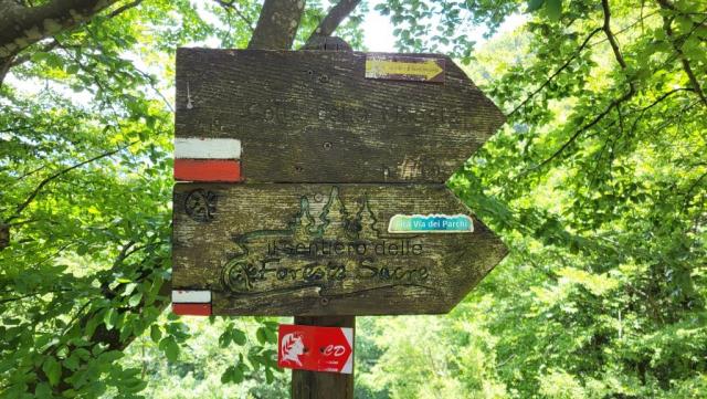 Wegweiser führen uns sicher durch den Wald. Zur Sicherheit haben wir Karten auf dem Handy mit GPS