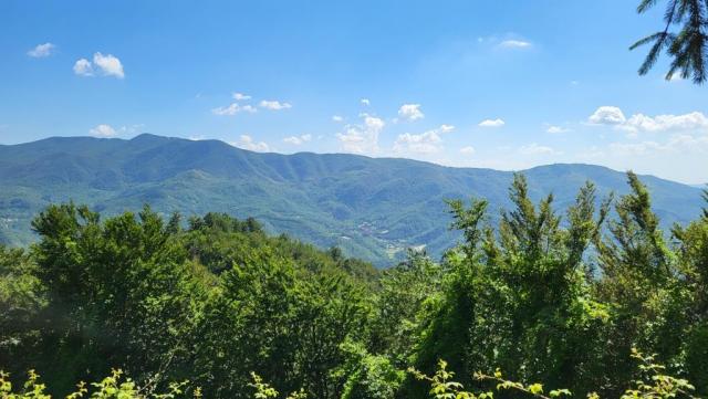 nach der Pause nehmen wir das letzte Teilstück nach Castagno d'Andrea unter die Füsse