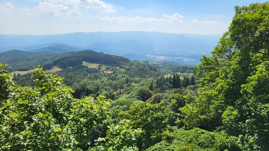 diese Wälder haben wir durchquert, als wir auf der Via di San Francesco weiter Richtung Assisi gelaufen sind