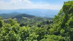 diese Wälder haben wir durchquert, als wir auf der Via di San Francesco weiter Richtung Assisi gelaufen sind