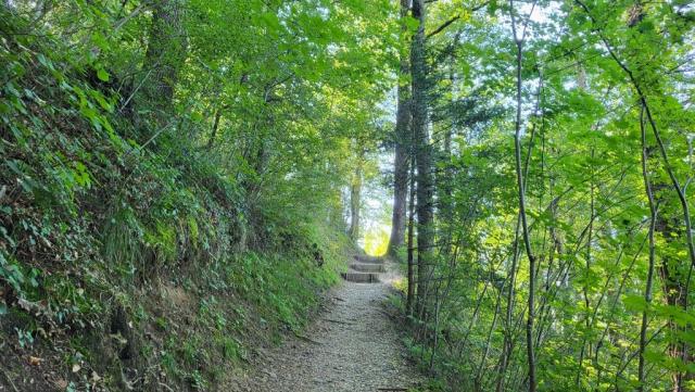 wir biegen rechts ab und wandern steil aufwärts...