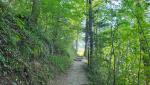 wir biegen rechts ab und wandern steil aufwärts...