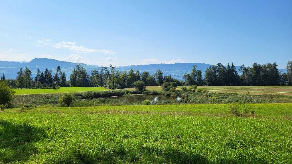 beim Turpenweid. Der Weiher ist ein beliebtes Naherholungsgebiet der Region