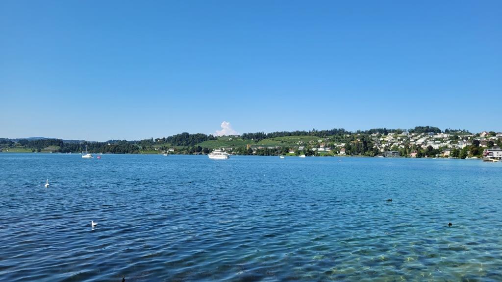 der Wanderweg führt danach , dem Verkehr ausweichend, direkt hinunter zum Zürichsee