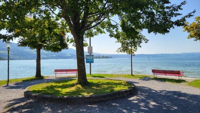 auch hier überall Sitzbänke wo man in Ruhe die Aussicht auf den See geniessen kann