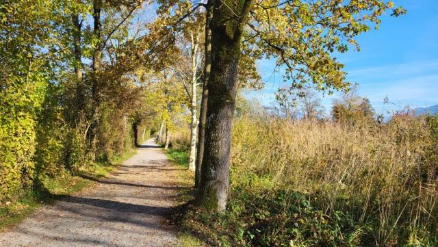 die 6.Etappe ist eine "Flachwanderung". Von Rapperswil folgt der Weg immer auf St. Galler Boden direkt dem Ufer