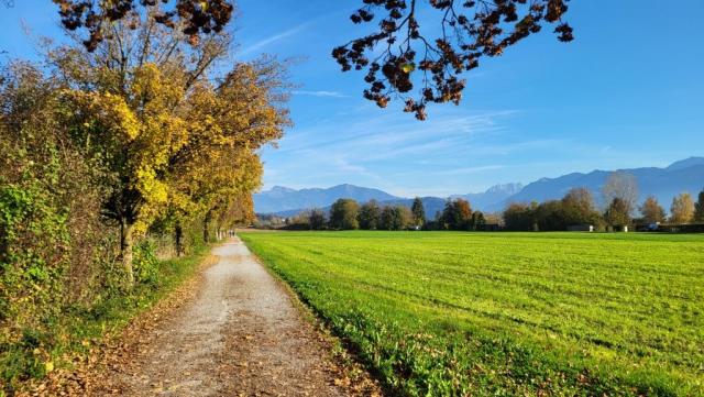 nahezu ohne Steigung geht es von Rosenstadt Rapperswil durch die Jonerallmend