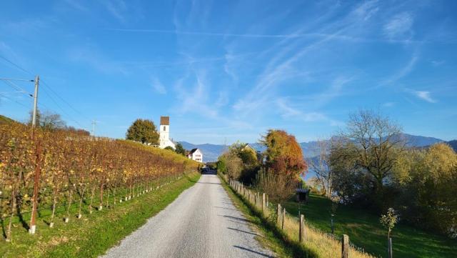 das erste Teilstück am Obersee führt fast immer direkt dem See entlang